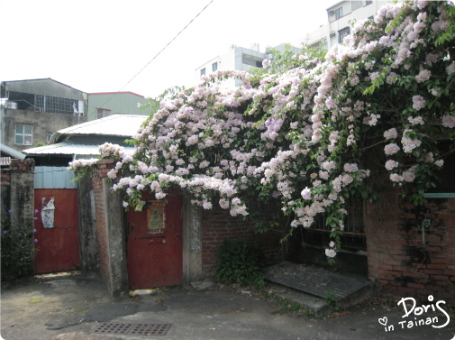 塗鴉牆7.jpg 塗鴉牆7.jpg