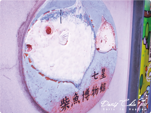 DAY1-七星潭柴魚博物館4