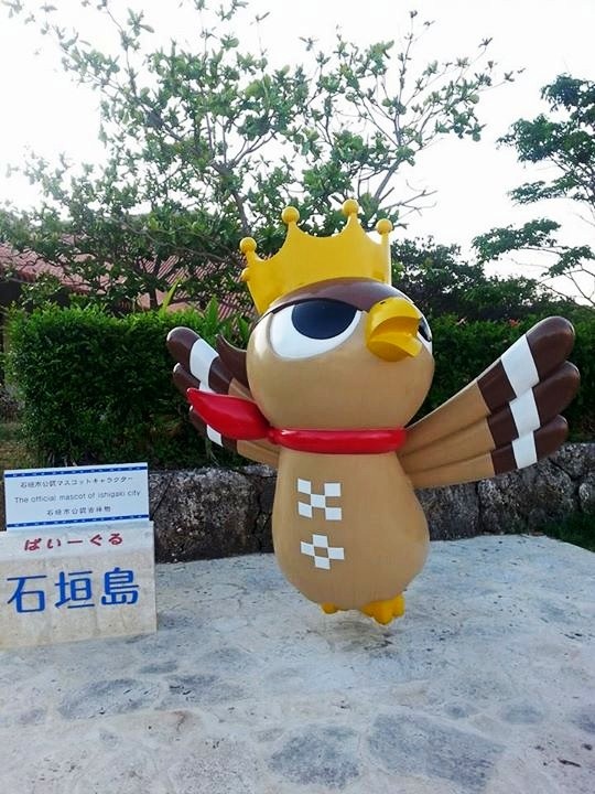 13415_887391681281446_9013579045173132922_n_conew1