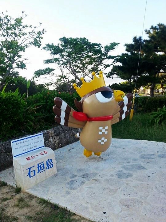 17423_887391711281443_6774744415814647395_n_conew1