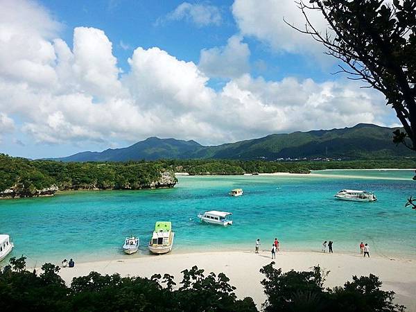 11072486_887403567946924_7405807828512248506_n_conew1