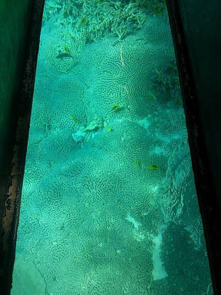 10444421_887404264613521_2080906914961216870_n