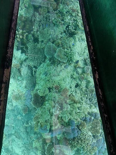 11150459_887404081280206_7925895421613636493_n