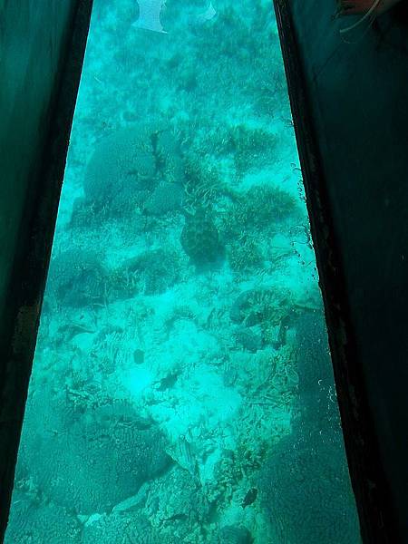 1513736_887404474613500_1675720834239644838_n_conew1