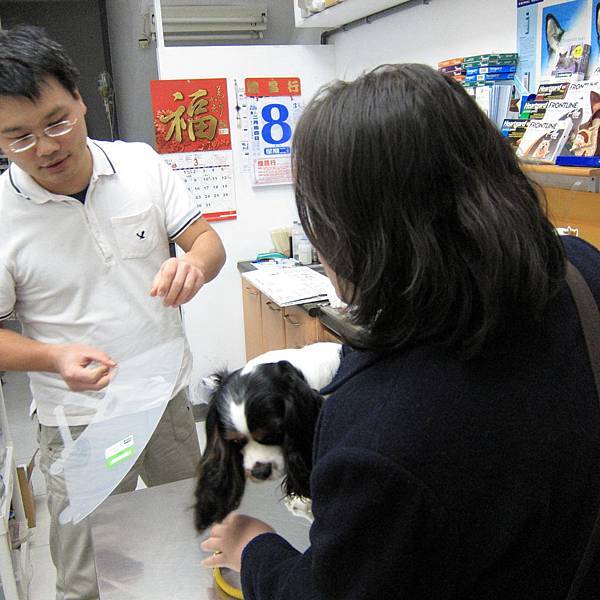 100.3.910.JPG 100.3.910.JPG