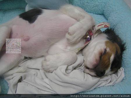 P1010003.JPG P1010003.JPG