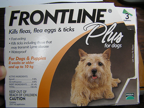 P1010088.JPG P1010088.JPG