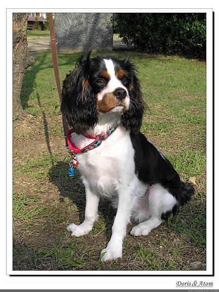 P1010061_nEO_IMG.jpg P1010061_nEO_IMG.jpg