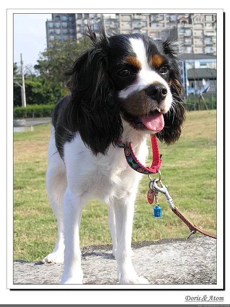 P1010068_nEO_IMG.jpg P1010068_nEO_IMG.jpg