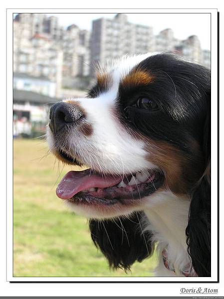 P1010102_nEO_IMG.jpg P1010102_nEO_IMG.jpg