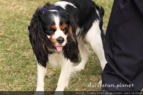 100.2.12124.JPG 100.2.12124.JPG