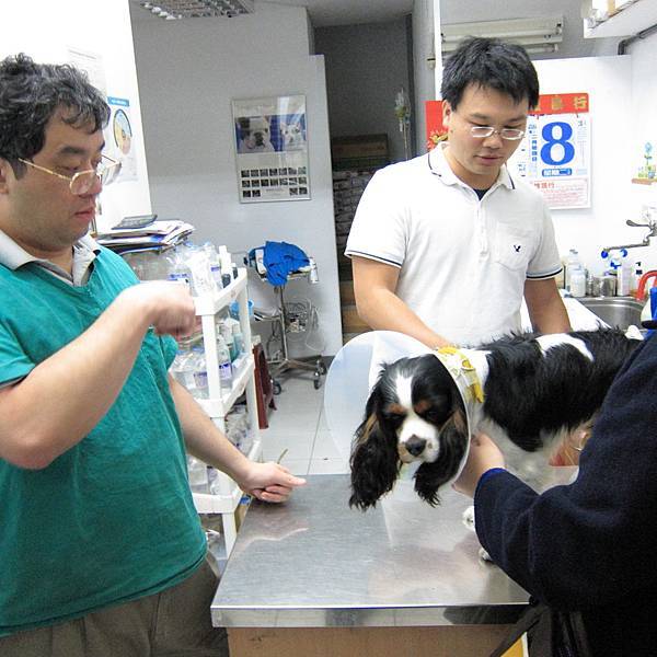 100.3.913.JPG 100.3.913.JPG