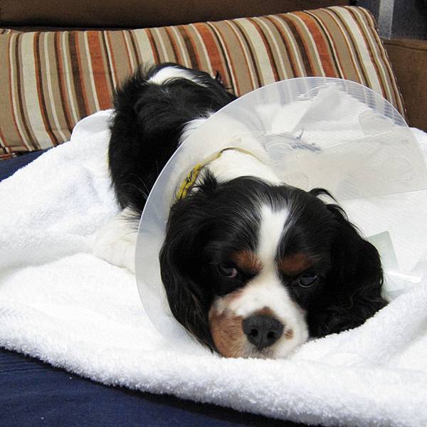 100.3.923.JPG 100.3.923.JPG