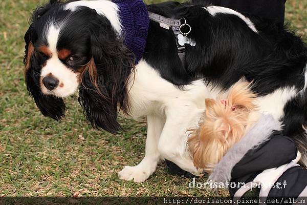 100.2.12123.JPG 100.2.12123.JPG