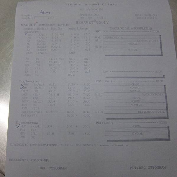 100.3.901.JPG 100.3.901.JPG