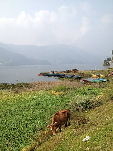 IMG_4547.JPG IMG_4547.JPG