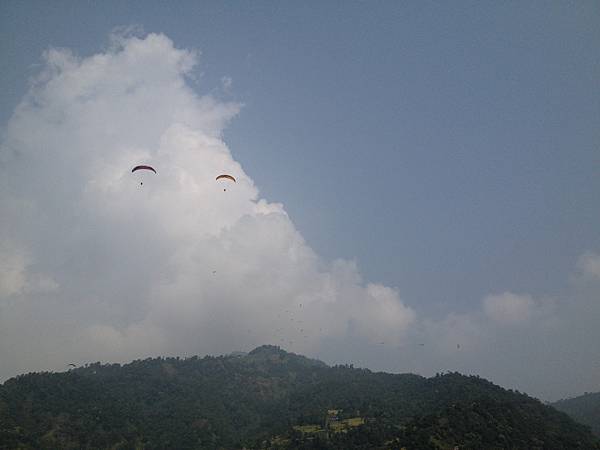 IMG_4560.JPG IMG_4560.JPG