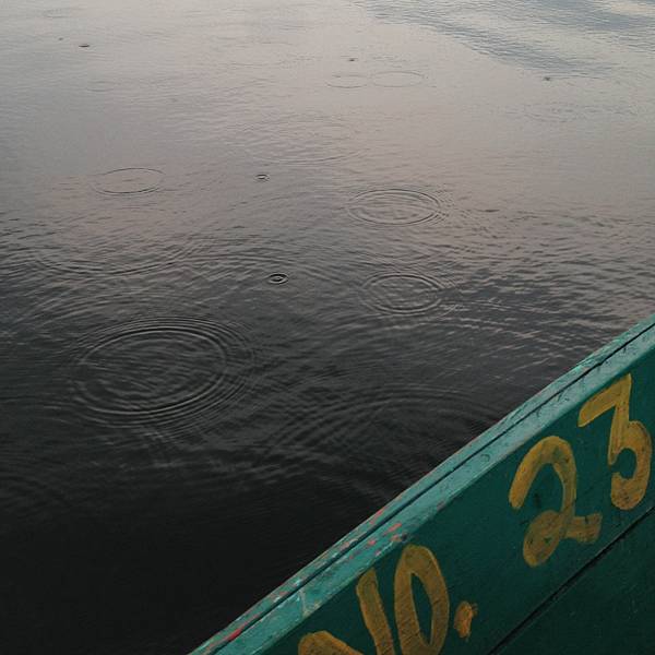 IMG_4646.JPG IMG_4646.JPG