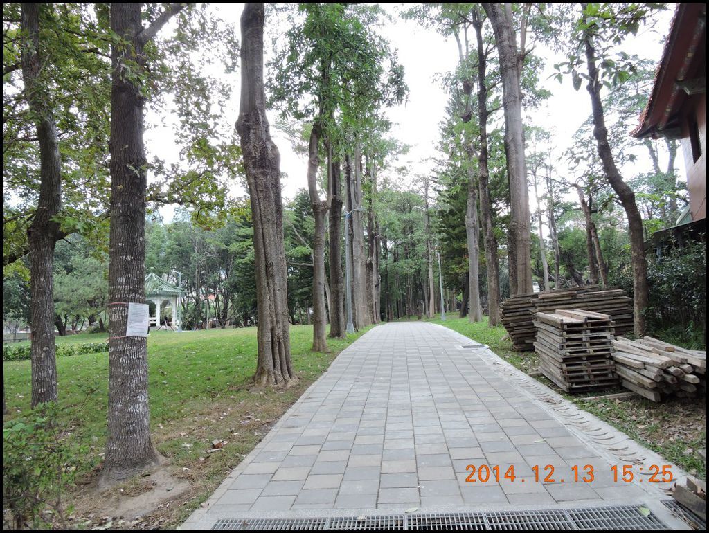 DSCN5215_conew1