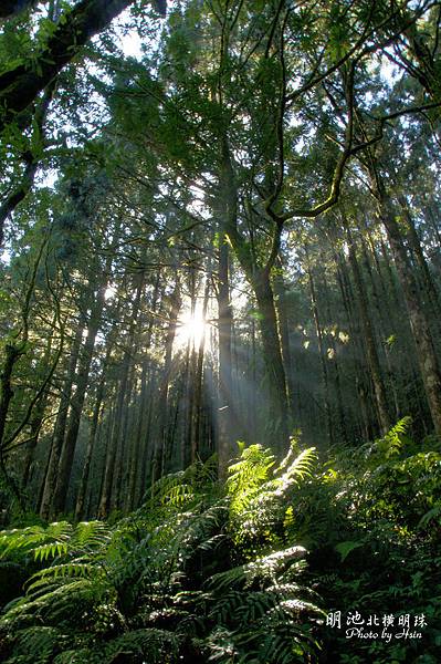 明池森林遊樂區