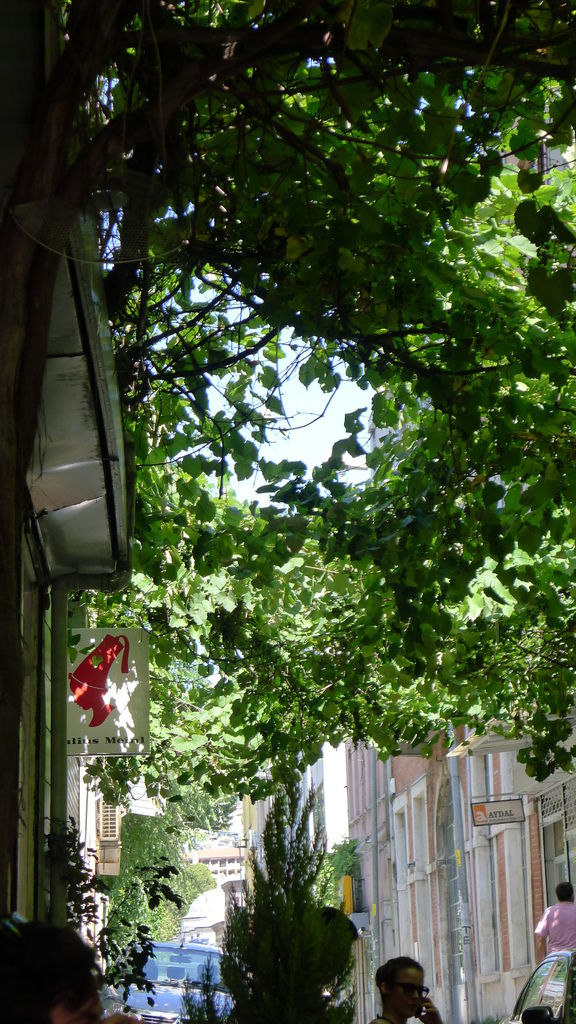 伊斯坦堡咖啡館招牌