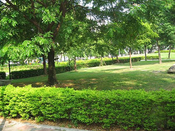 11.灰色水泥城市中難得的綠.JPG 11.灰色水泥城市中難得的綠.JPG