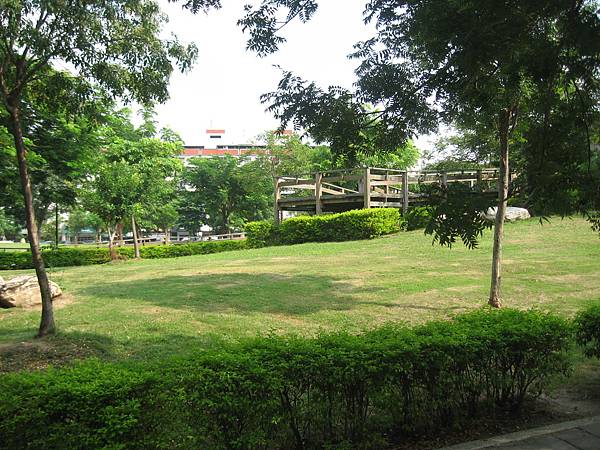 12.陽光和綠草坪.JPG 12.陽光和綠草坪.JPG