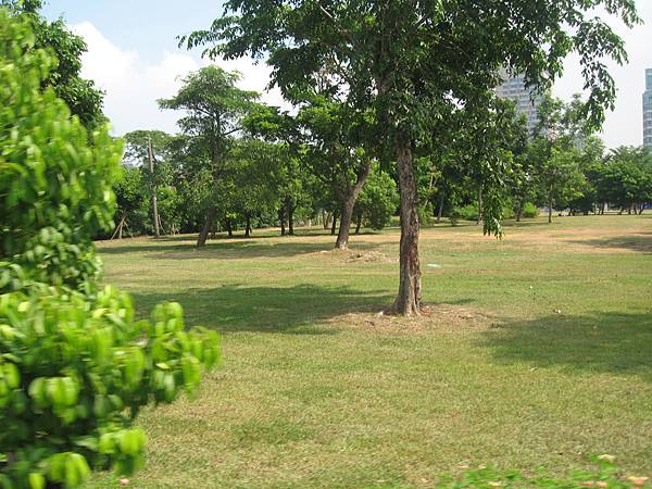 53.自行車步道旁美麗的草坪.JPG 53.自行車步道旁美麗的草坪.JPG