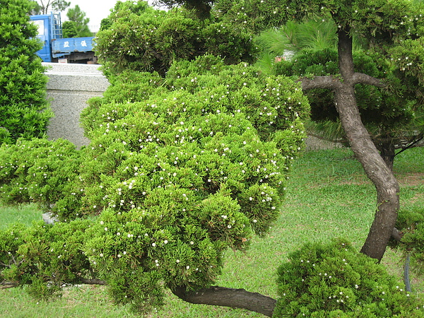 IMG_7225.JPG IMG_7225.JPG