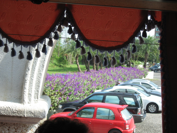 來不及下車觀賞的薰衣草花圃