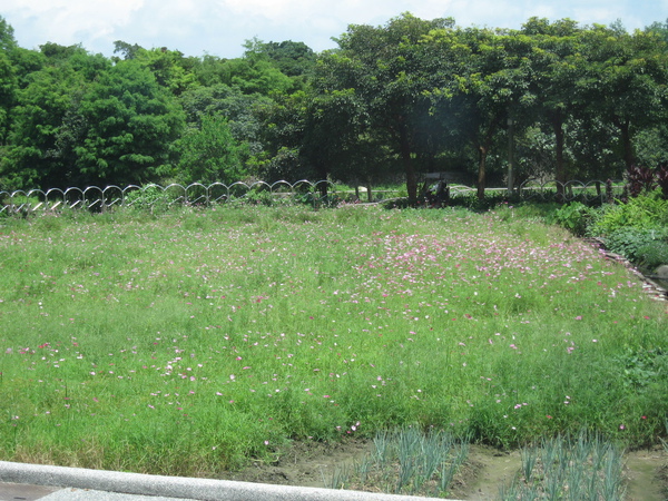 羅東運動公園 羅東運動公園
