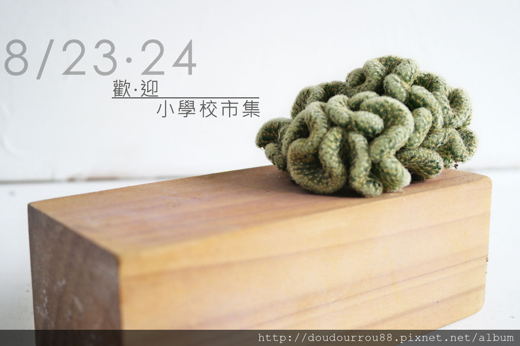 荳荳多肉植物_小學校市集 荳荳多肉植物_小學校市集