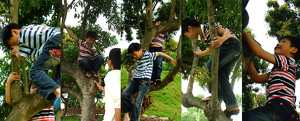 老厝01.jpg 老厝01.jpg