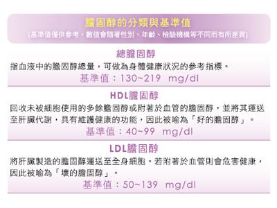 膽固醇 膽固醇