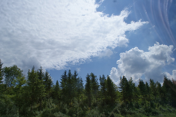 cloud and trees.JPG