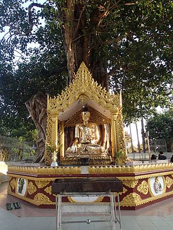 P2110122 (1) P2110122 (1)