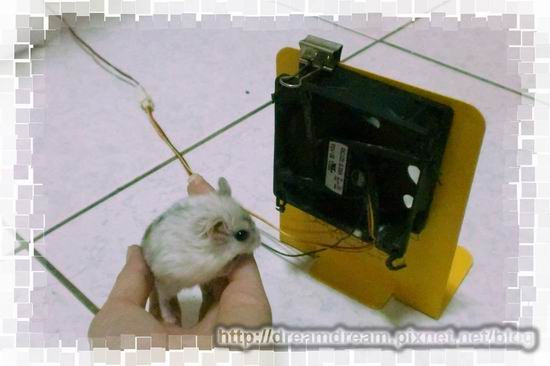 调整大小 CIMG6235-1(001) 调整大小 CIMG6235-1(001)