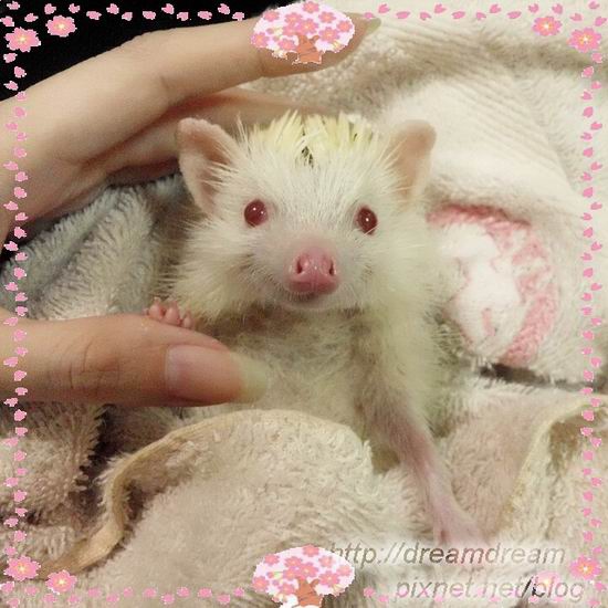 调整大小 IMG_3381-1 调整大小 IMG_3381-1