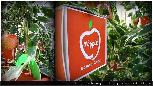 rippie1.jpg rippie1.jpg