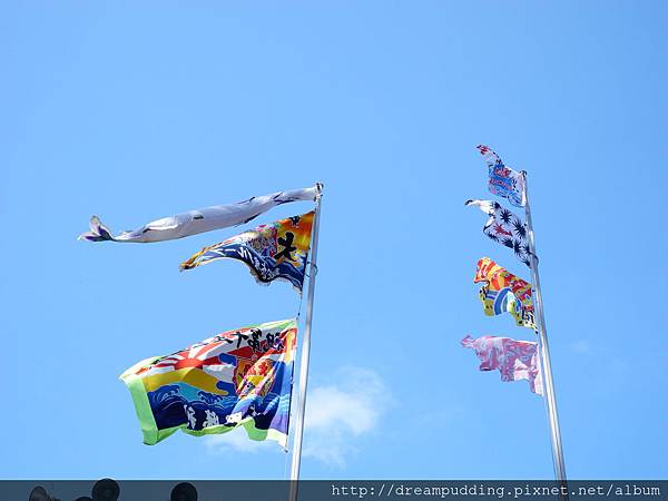 DSCN0586.JPG DSCN0586.JPG