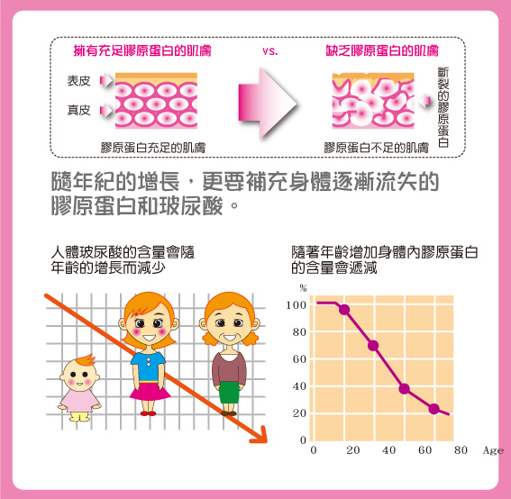 試用