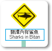 sharks in bitan