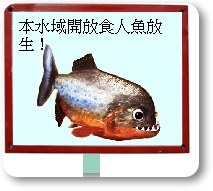 食人魚