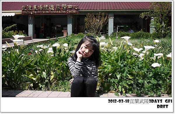 P1060814 P1060814