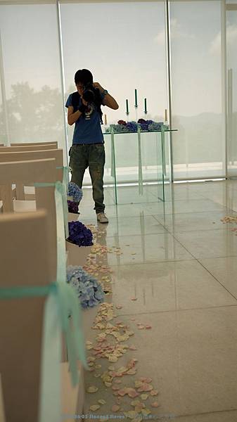 P1070366 P1070366