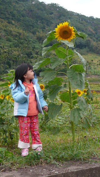P1010790.JPG P1010790.JPG