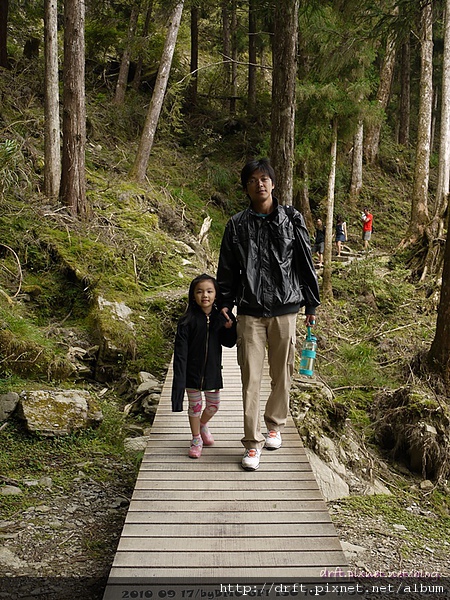 P1030342.JPG P1030342.JPG