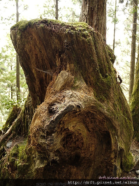 P1030334.JPG P1030334.JPG