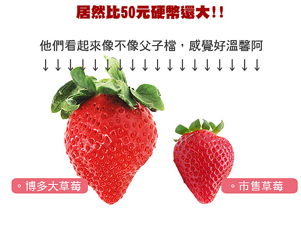 心型草莓台北濱江-4