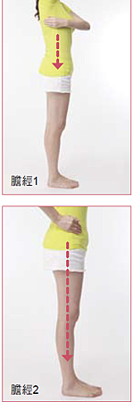 膽經絡拍打 膽經絡拍打